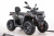 Квадроцикл MOTAX GRIZLIK T250 PRO