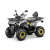 Квадроцикл GLADIATOR F200 LUX серый с псм Квадроцикл GLADIATOR F200 LUX серый с псм