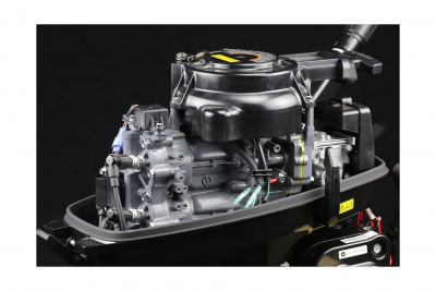Лодочный мотор Suzuki DT15AS/L