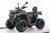 Взрослый квадроцикл MOTAX GRIZLIK T250 BASIC Взрослый квадроцикл MOTAX GRIZLIK T250 BASIC