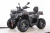 Квадроцикл MOTAX GRIZLIK T250 PRO