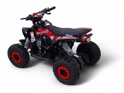 Детский квадроцикл MOTAX GEKKON 110