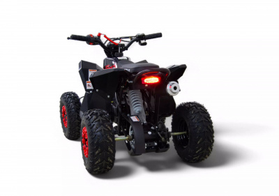 Детский квадроцикл MOTAX GEKKON 110