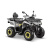 Квадроцикл GLADIATOR F200 LUX серый с псм Квадроцикл GLADIATOR F200 LUX серый с псм