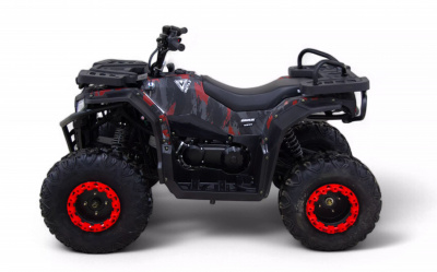 Квадроцикл MOTAX GRIZLIK Y300 2025 New