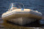 Лодка РИБ Skylark R570