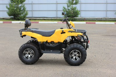 Квадроцикл IRBIS ATV 200 PREMIUM New с ПСМ