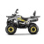 Квадроцикл GLADIATOR F200 LUX серый с псм Квадроцикл GLADIATOR F200 LUX серый с псм