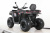 Взрослый квадроцикл MOTAX GRIZLIK T250 BASIC Взрослый квадроцикл MOTAX GRIZLIK T250 BASIC