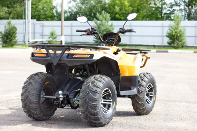 Квадроцикл IRBIS ATV200 New с ПСМ