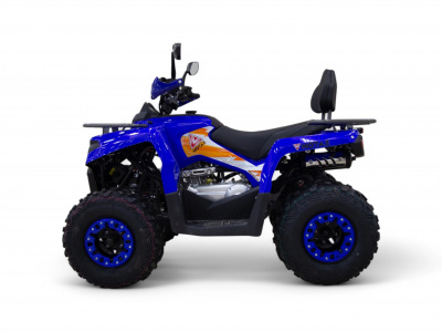 Квадроцикл MOTAX Grizlik 200 Ultra 2025 New