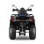 Квадроцикл GLADIATOR F200 LUX LONG черный с псм Квадроцикл GLADIATOR F200 LUX LONG черный с псм