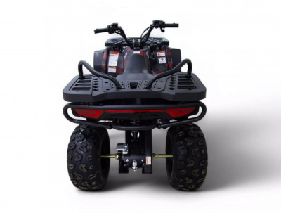 Квадроцикл MOTAX GRIZLIK Y300 2025 New