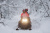 Снегоход AODES Snowcross 1000 SWT LTS
