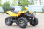 Квадроцикл IRBIS ATV 200 PREMIUM New с ПСМ