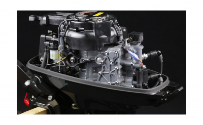 Лодочный мотор Suzuki DT15AS/L