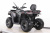 Квадроцикл MOTAX GRIZLIK T250 PRO