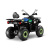 Квадроцикл GLADIATOR F200 LUX LONG черный с псм Квадроцикл GLADIATOR F200 LUX LONG черный с псм